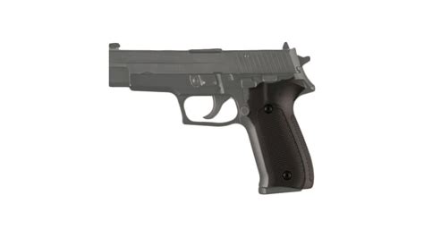 Hogue Handgun Grip for Sig Sauer P228/P229 | Best Rated 28170