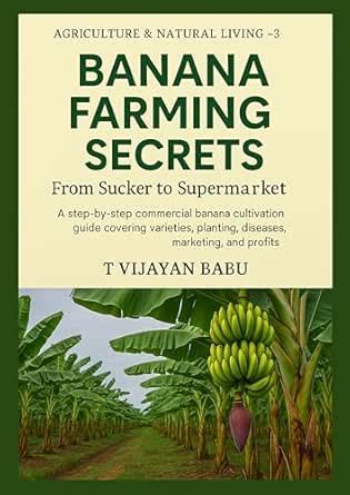 Banana Farming Secrets: From Sucker to Supermarket (AGRICULTURE ...