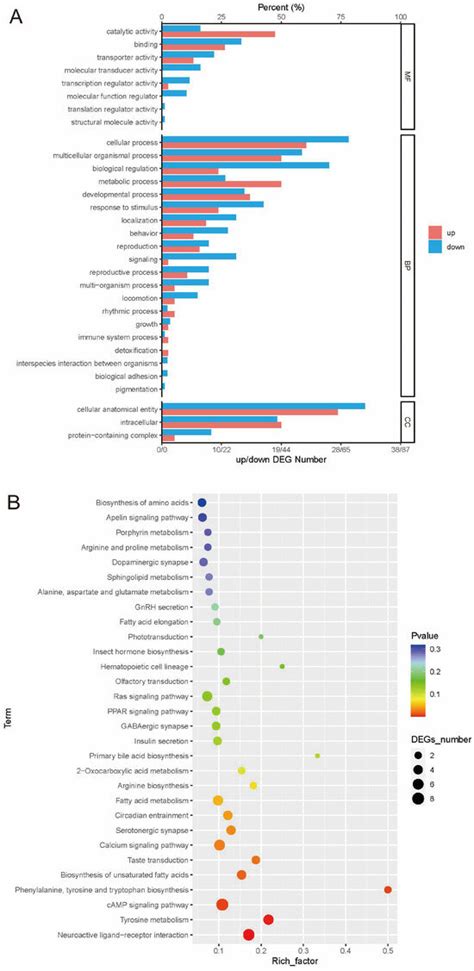 Integrated Transcriptomic and Metabolomic Insights into “I See You ...
