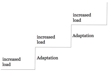 Image result for Principles of Progressive Overload