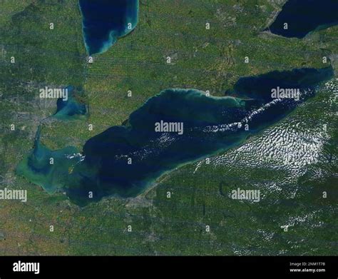 MODIS satellite image of Lake Erie showing harmful algal bloom ...