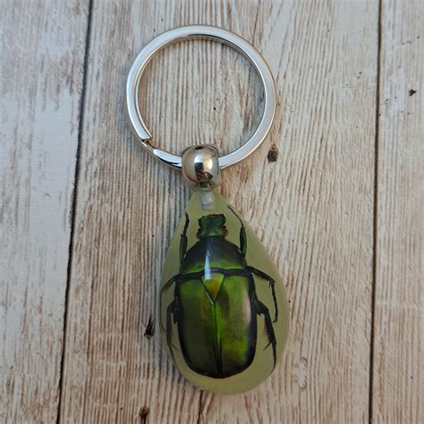 Bug Keychains 的图像结果