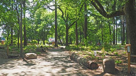 Nature patch coming to Fernhill Park (City of Portland Parks ...