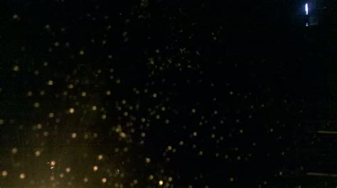 Image result for MATLAB Software Precipitation