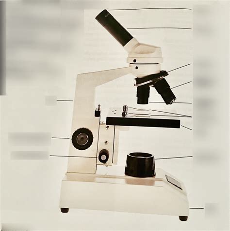 Image result for Light Switch Microscope Function