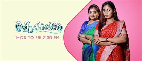 ഗീതാ ഗോവിന്ദം പ്രീമിയര്‍ - സ്വാതന്ത്രിദിനത്തിൽ സിനിമ വിസ്മയം ഒരുക്കി ...