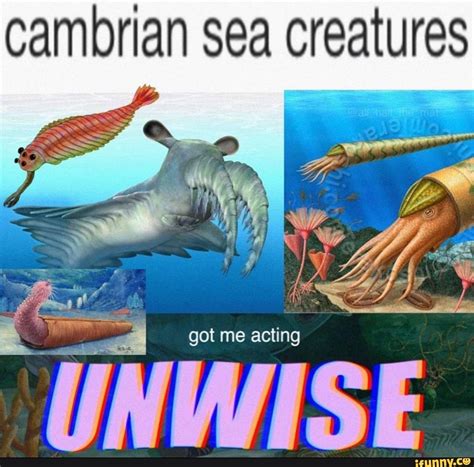 Cambrian sea creatures got me acting UNWISE. - iFunny