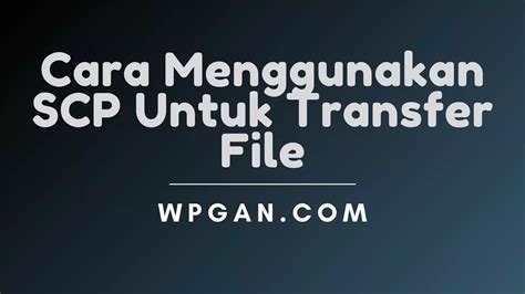 SCP File Transfer 的图像结果