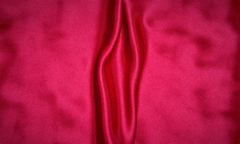 Image result for Labial Reduction Surgery