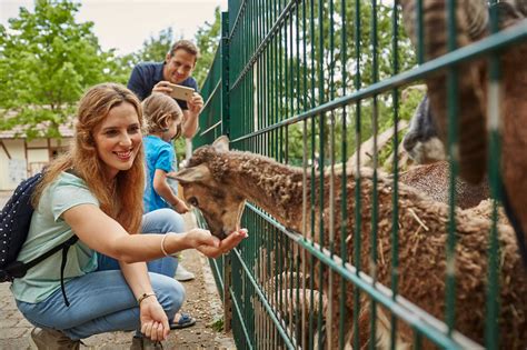 Zoos & Tierparks | tourismus-bw.de