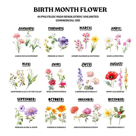 Birth Month Flowers Clipart Bundle Commercial Use Watercolor Birth ...