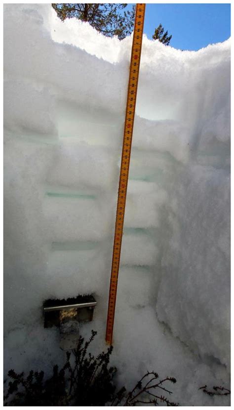 Accuracy of Manual Snow Sampling, Depending on the Sampler’s Cross ...