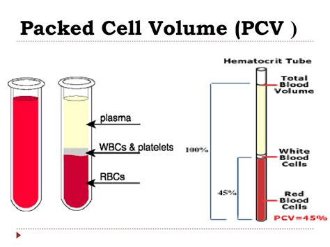 PPT - Blood Tests PowerPoint Presentation, free download - ID:8829182