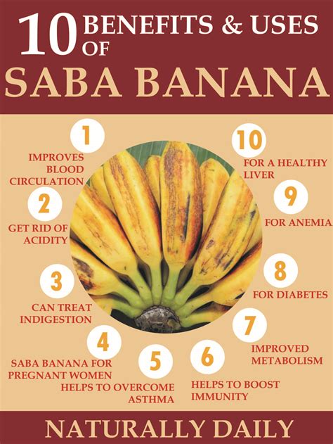 Health Benefits Of Native Banana at Darcy Ryan blog