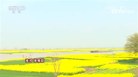 央视【新闻联播】《春天的中国》头条推荐【江西三清山】