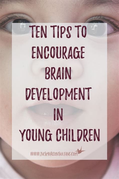 Ten Tips To Encourage Brain Development - Ziesmer Consulting | Brain ...