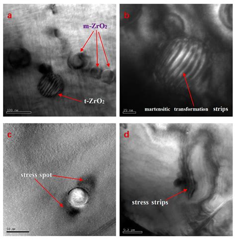 Microstructure and Piezoelectric Properties of Lead Zirconate Titanate ...