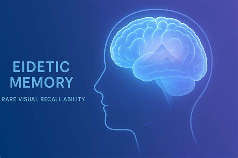 Eidetic Memory: Meaning, Science, Myths, Tests & Real Examples