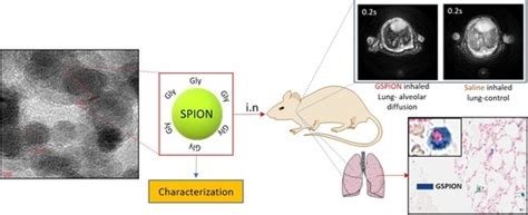 A Novel Approach for Non-Invasive Lung Imaging and Targeting Lung ...