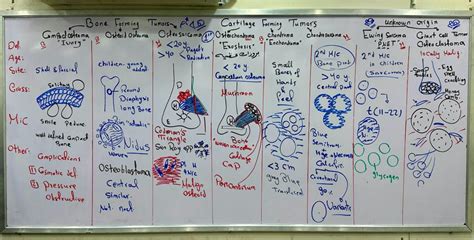 Image result for Crash Course Lymph System