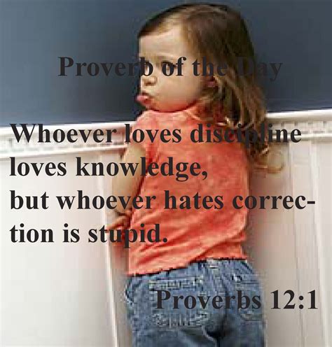 Proverbs 12:1 | Lessons learned in life, Proverbs 12, Proverbs