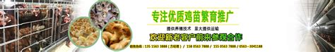 展商推荐 | 江苏正阳禽业有限公司亮相2023上海糖酒会-世展网