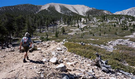 San Gorgonio Mountain - South Fork Loop - SierraDescents.com