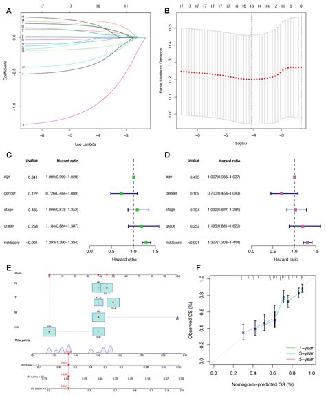 Immunization Combined with Ferroptosis Related Genes to Construct a New ...