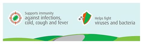 PediaCare Super Immuno Plus Multivitamin Amla Gummies for Kids, With ...