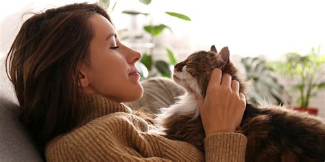 Image result for Cat Behavior Problems