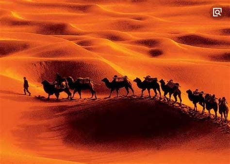 《我是沙漠的旅者》作者:松间明月朗诵:凌风傲沙