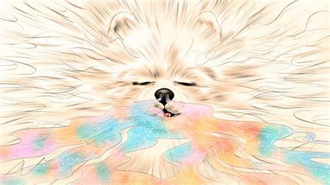 Why your dog needs to smell the world - Trendradars Latest