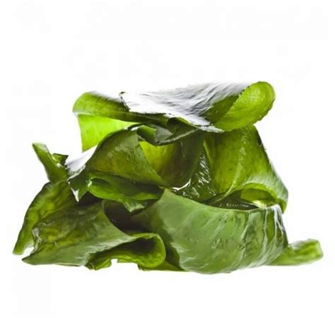 Chelated Micronutrients - Zinc EDTA Manufacturer from Mumbai