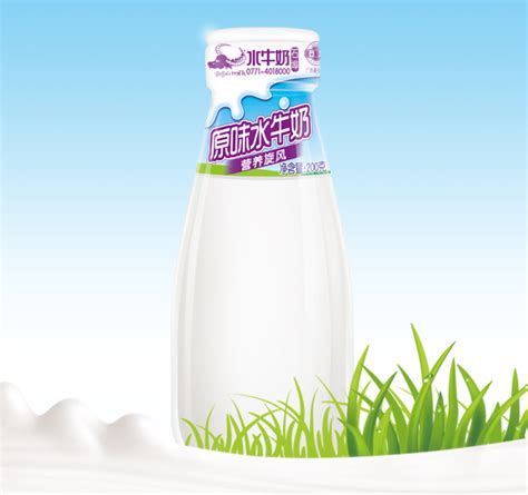国内外植物蛋白素食奶及奶制品新兴品牌的品牌命名与营销方式分析-上海品牌起名策划公司-尚略