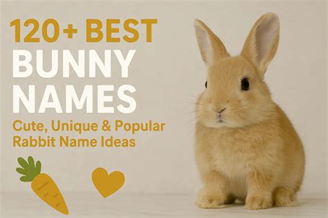 120+ Best Bunny Names: Cute, Unique & Popular Rabbit Name Ideas