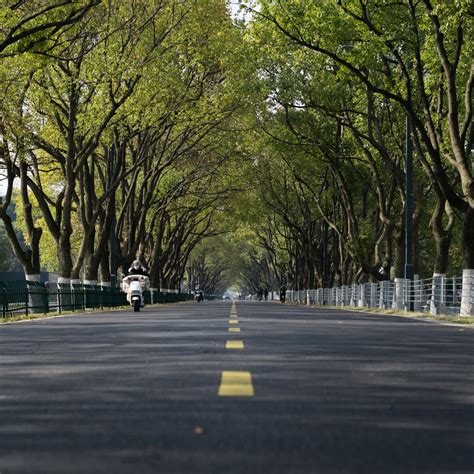 Transportation 图片 的图像结果