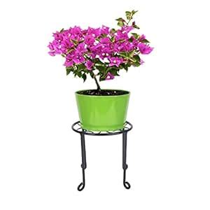 Nuha Metal Pot Stand, Black, Small, 1 Piece : Amazon.in: Garden & Outdoors