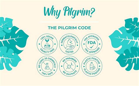 Pilgrim Korean Argan Oil Hair Mask For Dry & Frizzy Hair With White ...