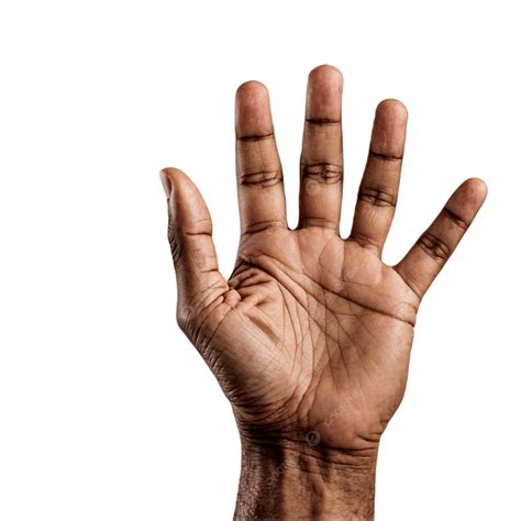 African American Woman S Hand Showing Five Fingers, African American ...