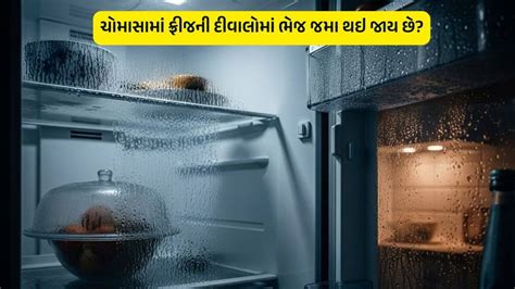 ચોમાસામાં ફ્રીજમાં ભેજ જમા થઇ જાય છે? વાટકીમાં આ વસ્તુ ભરીને રાખો, બધી ...