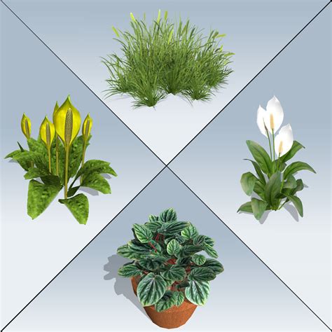 Image result for SpeedTree Modeling