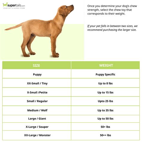 Buy Nylabone Bacon Flavoured Power Chew Bone (Brown) online at ...