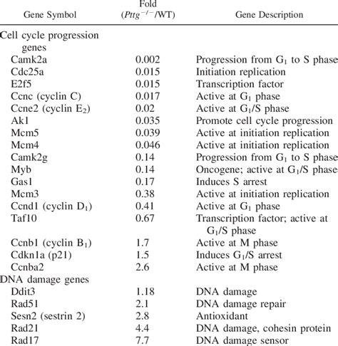 Image result for Cell Stage Gene Expression