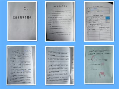 2019年云南成人高考报名现场确认所需材料（样本）