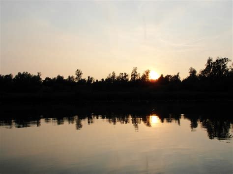 aar's log » Avond in de Biesbosch