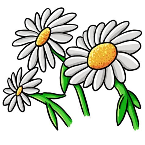 Free Daisy Flower Cliparts, Download Free Daisy Flower Cliparts png ...