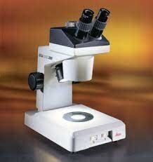 Image result for Objects Under the Dissecting Microscope