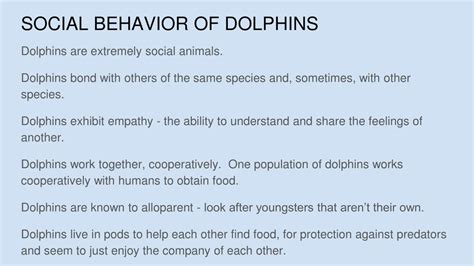 PPT - All About Dolphins: Species, Characteristics, and Evolution PowerPoint Presentation - ID ...