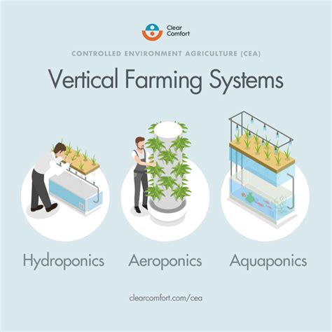 Vertical Farming Process 的图像结果