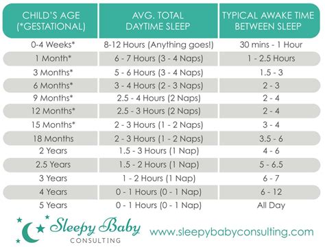 Wake Windows For 11 Week Old